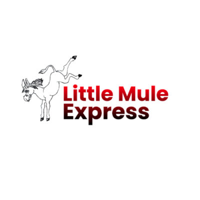 Little Mule Express LLC.jpg