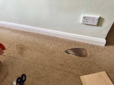 carpet repair.jpg