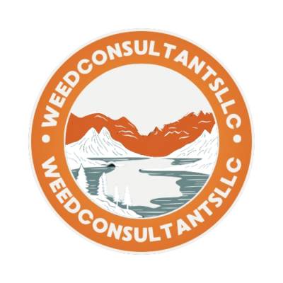 Orange_and_Greenish_Circle_Adventure_Logo-removebg-preview.png