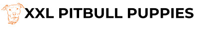 xxl-pitbull-puppies-logo-1.png