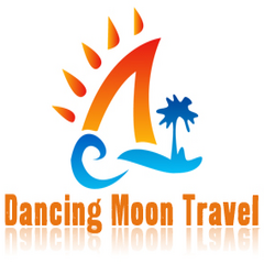 dmt-logo-crop-copy-copy_orig (2).png