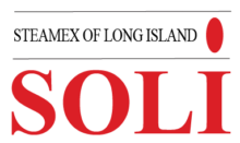 soli cleaning.png
