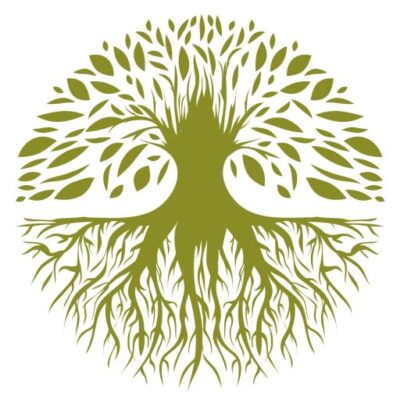 cropped-bradford-tree-surgeon-scaled-1.jpg
