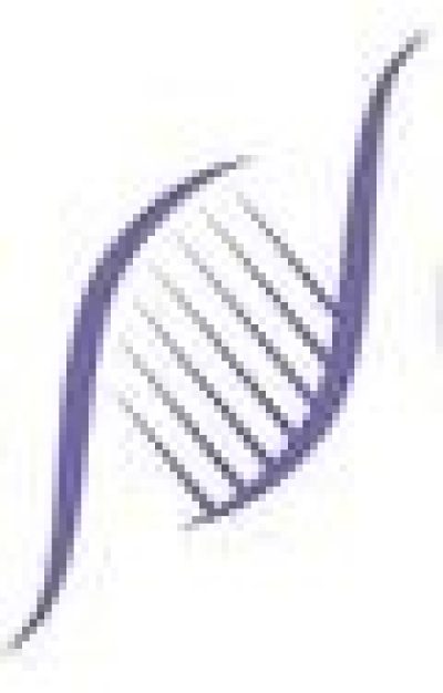 461159713_122108070176527517_1807410642662897133_n.jpg