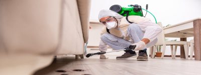 Pest-control-tech-treats-bugs-in-home.jpg