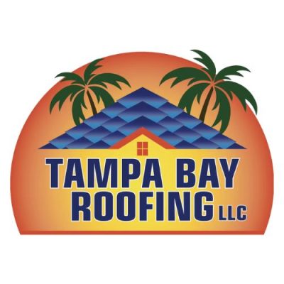 tampa bay logo.jpg