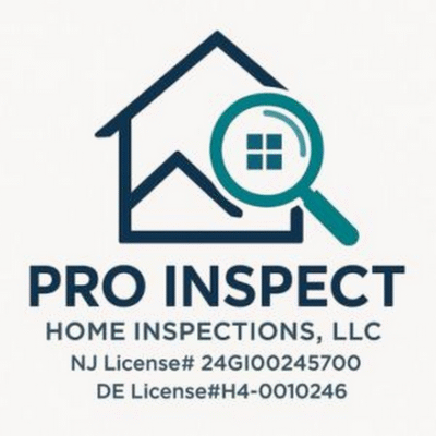 PRO INSPECT  lOGO.png