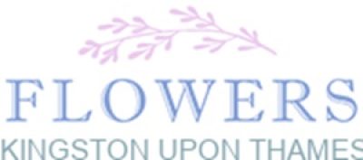 logo.jpg