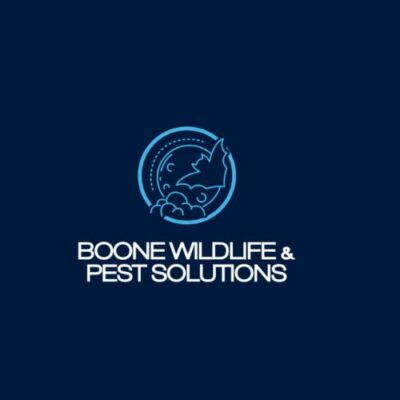 logo.jpg