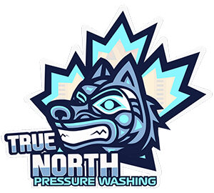 True-North-Logo-resized.jpg