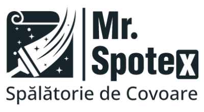 mrspotexlogofinal.png