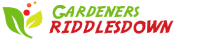logo.png