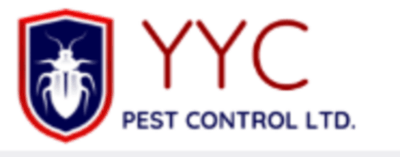 YYC LOGO (1).png