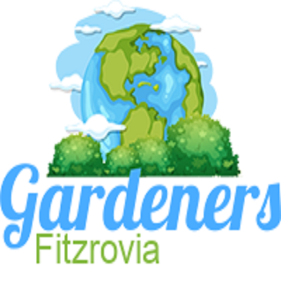 logo.png