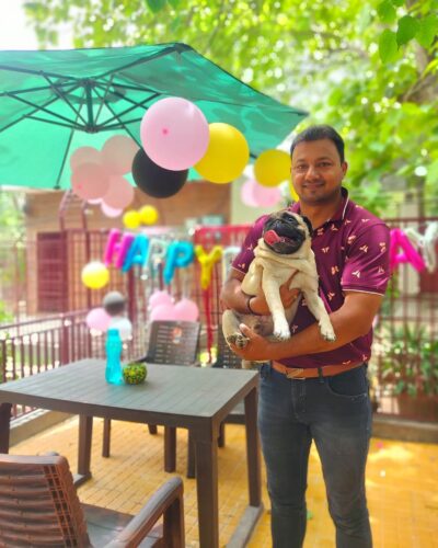 dog boarding in gurgaon (10).jpg