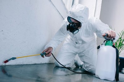 Pest-Control1.jpg