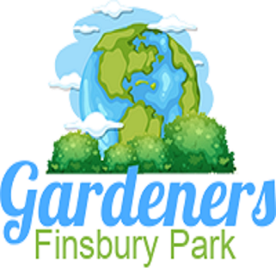 logo.png