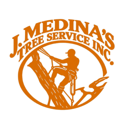 j medina.png