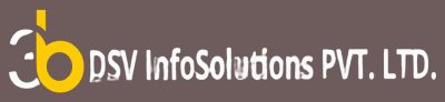 dsvInfo-removebg-preview.jpg