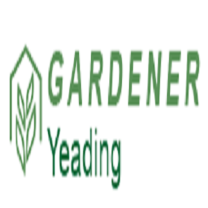 Logo.pngfsdfd