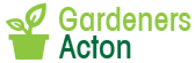 logo.png