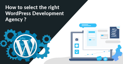 WordPress Development Agency.png