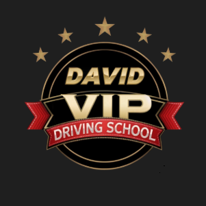 davidvip logo.png