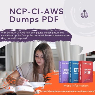 NCP-CI-AWS Dumps PDF.jpg