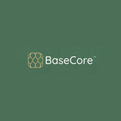 Base Core 500 .png