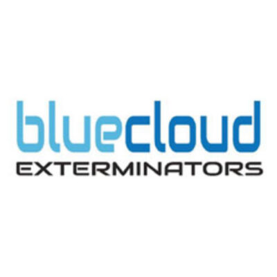 bluecloud-logo1.jpg