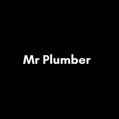 Mr Plumber (1).jpg