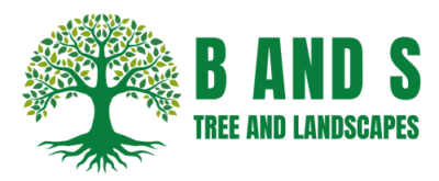 B-and-S-Logo.png