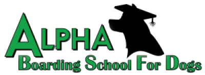 AlphaBoardingSchoolForDogs_CMYK-e1655698757433.png