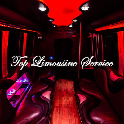 toplimousine-logo.jpg