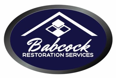 Babcock-Logo-Source-File-01-1-1-scaled-e1737499854701-1536x1043.jpg