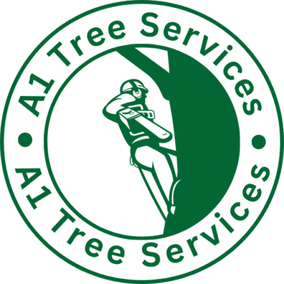 Hull Tree Surgeon Logo.png