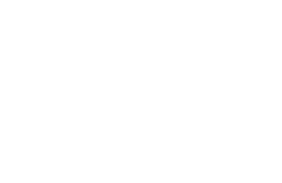 AV Icon W.png
