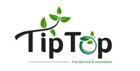 Tip Top Tree & Groundcare Services Ltd.jpg