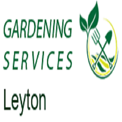 logo.png