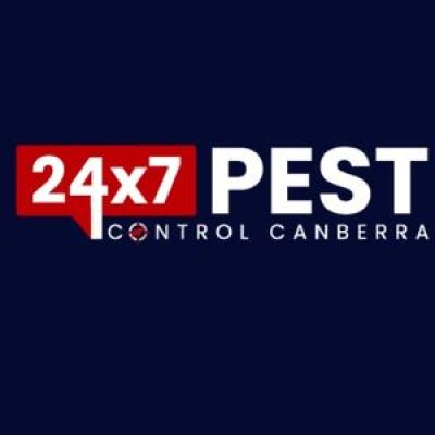247 Flies control canberra (1).jpg