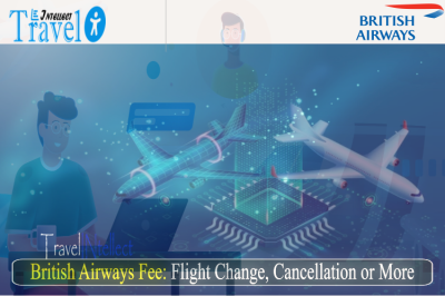 British Airways Fee.png