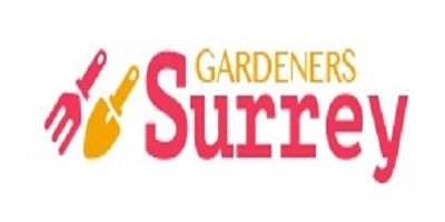 Logo.jpg