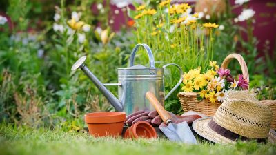 garden supplies 5.jpg