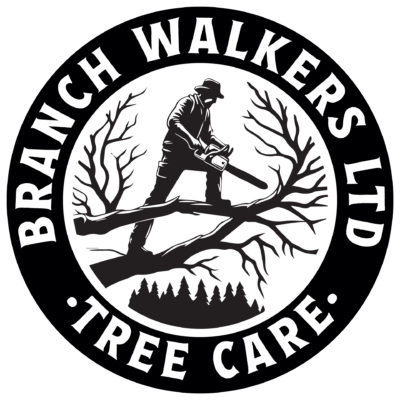 branch-walkers-1.png