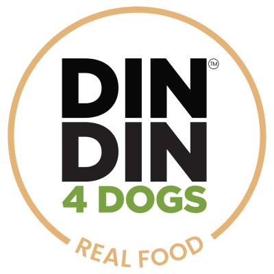 logo-with-bg.png