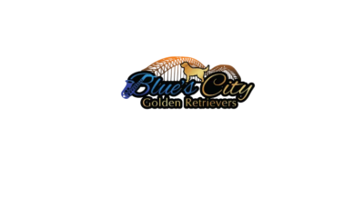Blues City Logo.png