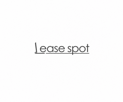 leasespot new logo.png