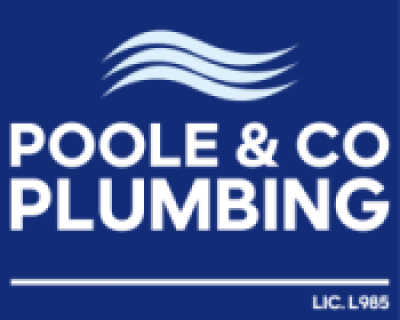 Color-logo-with-background-Copy-e1679619263865.png