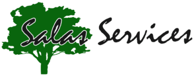 Salas Services.png