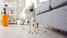 PEST CONTROL 10.jpg